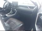 Toyota RAV4 Xse Image 14