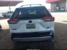 Toyota RAV4 Xse Image 6