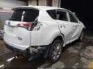 Toyota RAV4 Limited Image 10