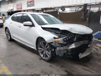  Salvage Acura TLX