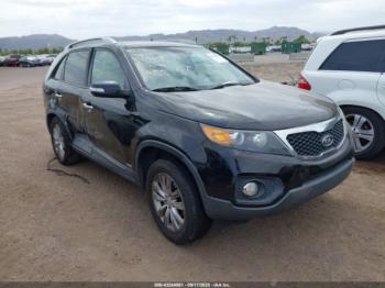  Salvage Kia Sorento