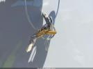 Trails West Free Ride Image 2