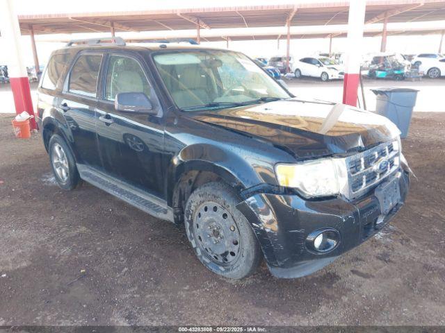  Salvage Ford Escape