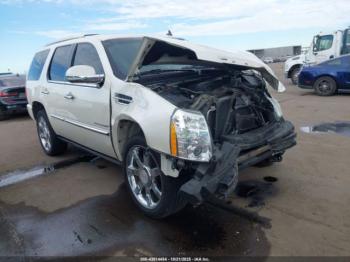  Salvage Cadillac Escalade