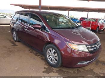  Salvage Honda Odyssey