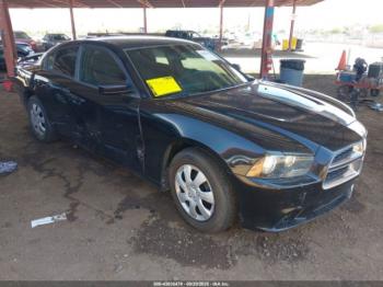  Salvage Dodge Charger