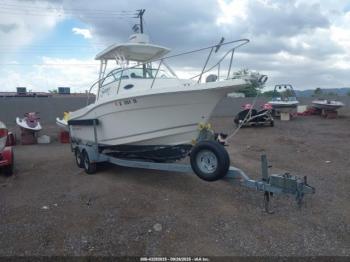  Salvage Other Boat And Trailer