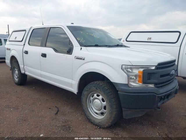 Ford F-150 Xl Image 1