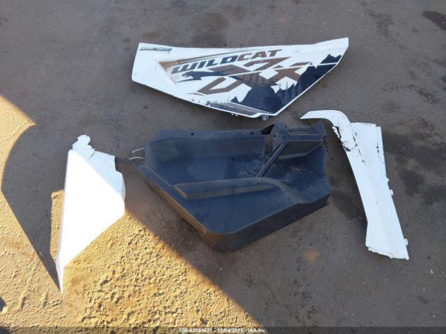 Arctic Cat Wildcat Xx Image 6