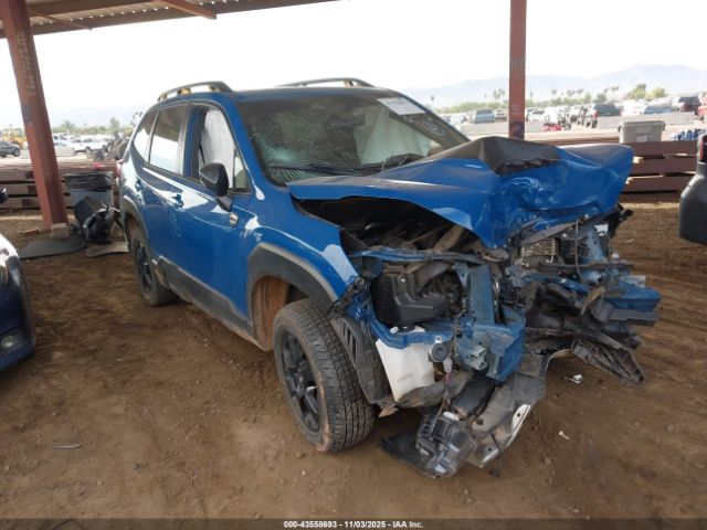 Subaru Forester Wilderness Image 1