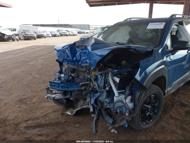 Subaru Forester Wilderness Image 10