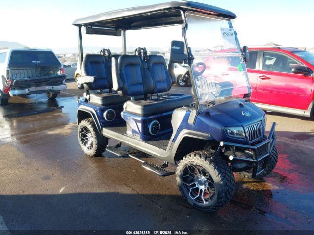  Salvage Evolution Golf Cart