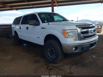  Salvage Ford F-150