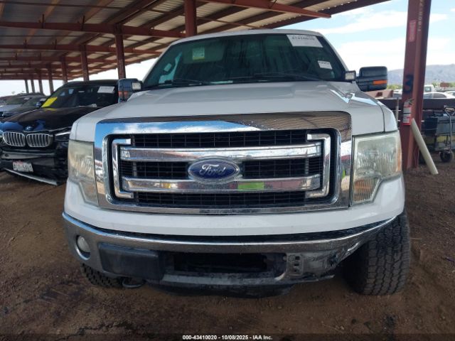 Ford F-150 Xlt Image 7