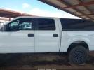 Ford F-150 Xlt Image 11