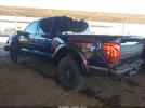 Ford F-150 Raptor Image 3