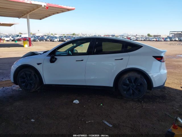 Tesla Model Y Long Range Dual Motor All-wheel Drive Image 11