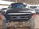 Ford F-250 Image 3