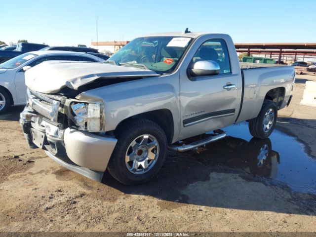 Chevrolet Silverado 1500 Work Truck Image 10