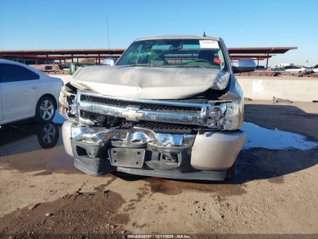 Chevrolet Silverado 1500 Work Truck Image 9