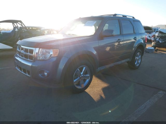 Ford Escape Limited Image 5