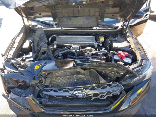 Subaru WRX Premium Image 3