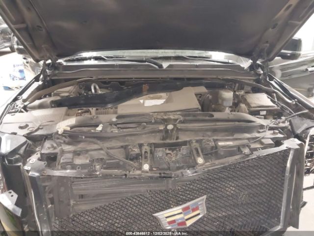 Cadillac Escalade Luxury Image 8