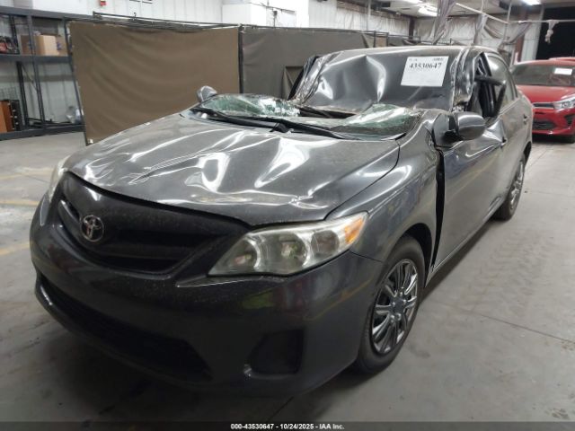 Toyota Corolla Le Image 6