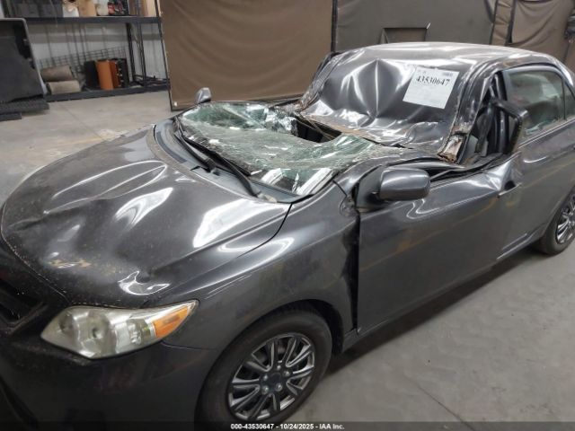 Toyota Corolla Le Image 4