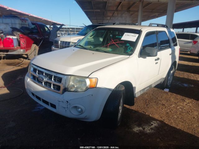 Ford Escape Xlt Image 9