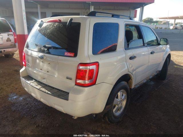 Ford Escape Xlt Image 4