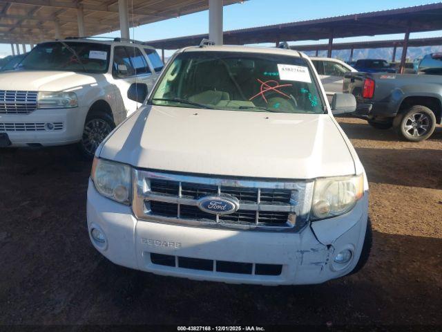 Ford Escape Xlt Image 6