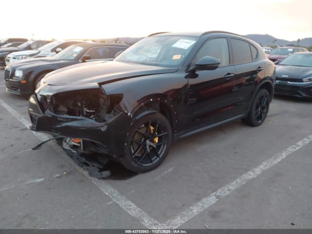 Alfa Romeo Stelvio Rwd Image 3