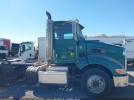 Peterbilt 384 Image 12