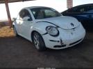 Volkswagen Beetle Image 1