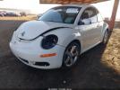 Volkswagen Beetle Image 2