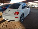 Volkswagen Beetle Image 13