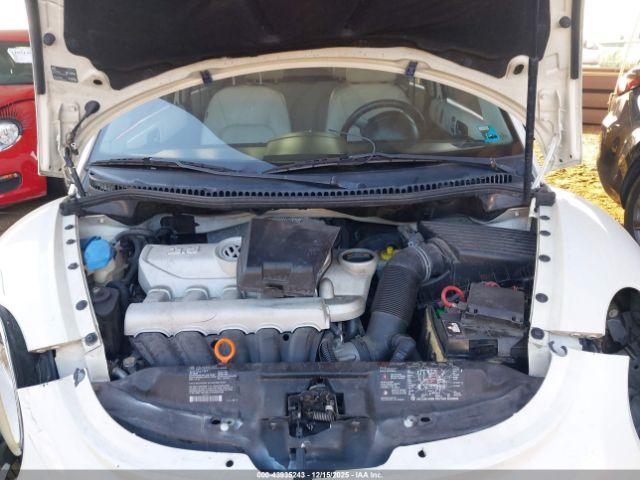 Volkswagen Beetle Image 6