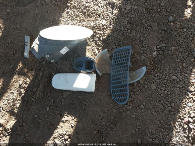 Volkswagen Beetle Image 14