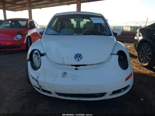 Volkswagen Beetle Image 8