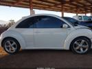 Volkswagen Beetle Image 16