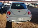 Volkswagen Beetle Image 15