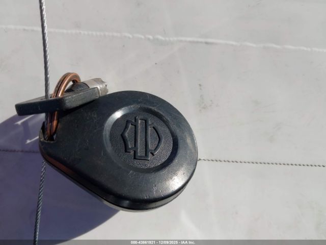 Harley-Davidson Flhr Image 13