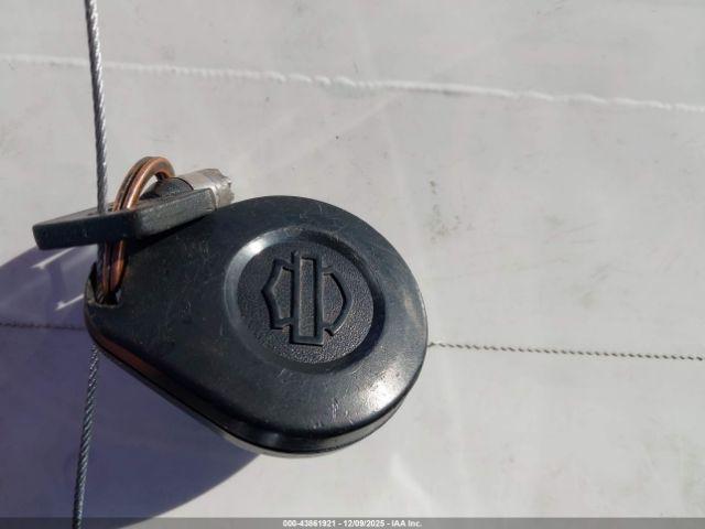 Harley-Davidson Flhr Image 13