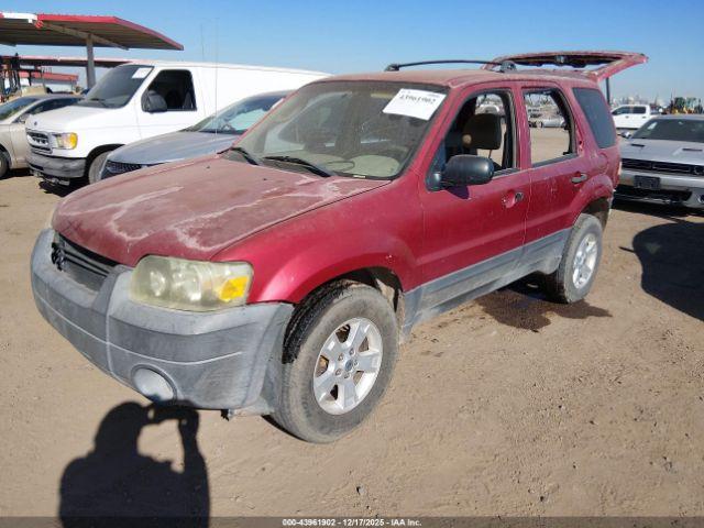 Ford Escape Xlt Image 5