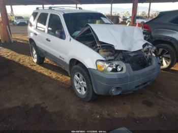  Salvage Ford Escape