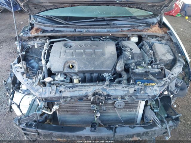 Toyota Corolla Le Image 16