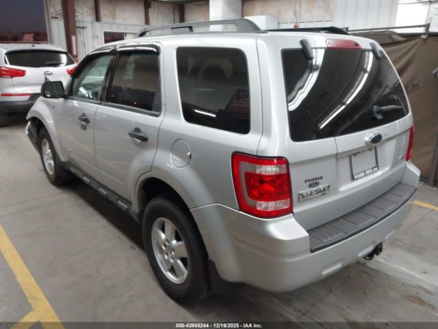 Ford Escape Xlt Image 3