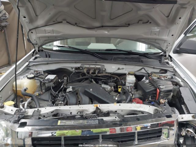 Ford Escape Xlt Image 7