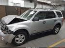 Ford Escape Xlt Image 10